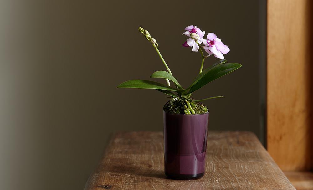 パソコン用の画像