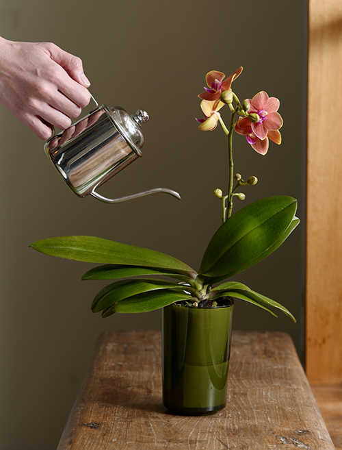 パソコン用の画像