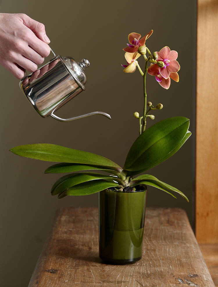 スマートフォン用の画像