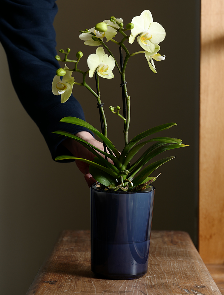 スマートフォン用の画像