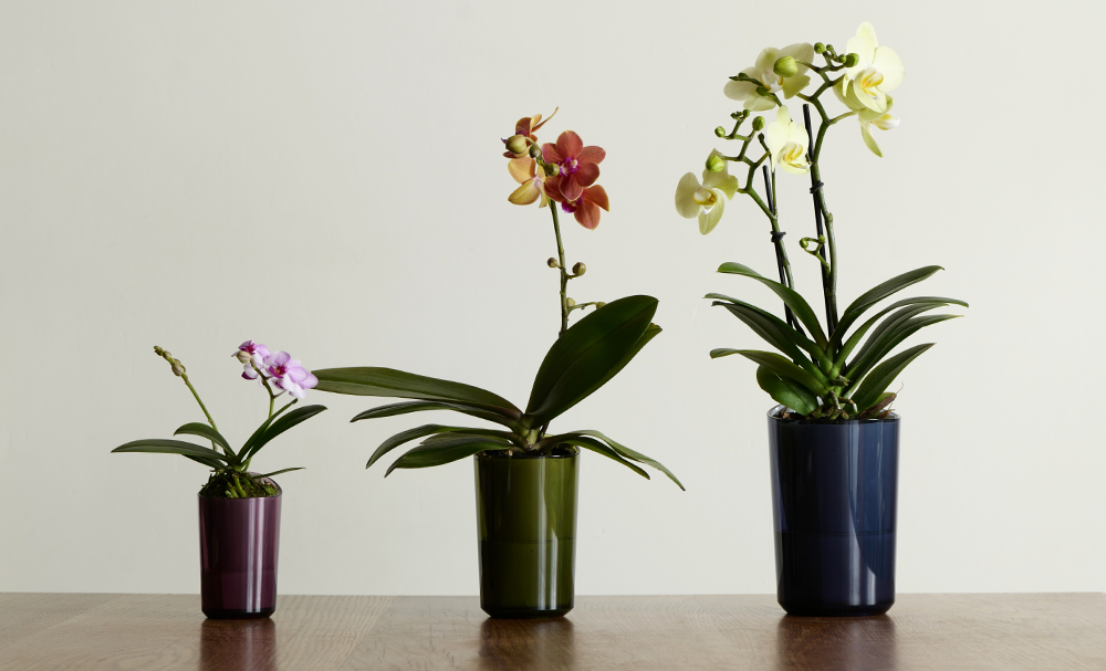 パソコン用の画像