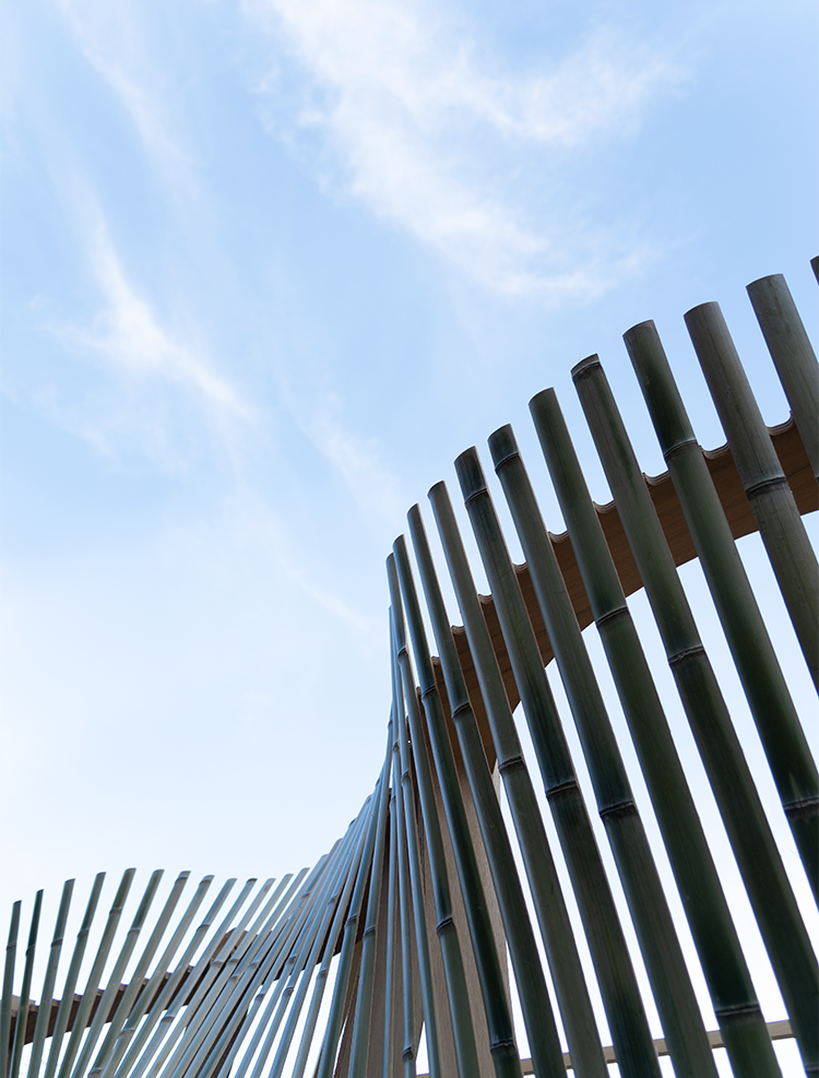 スマートフォン用の画像