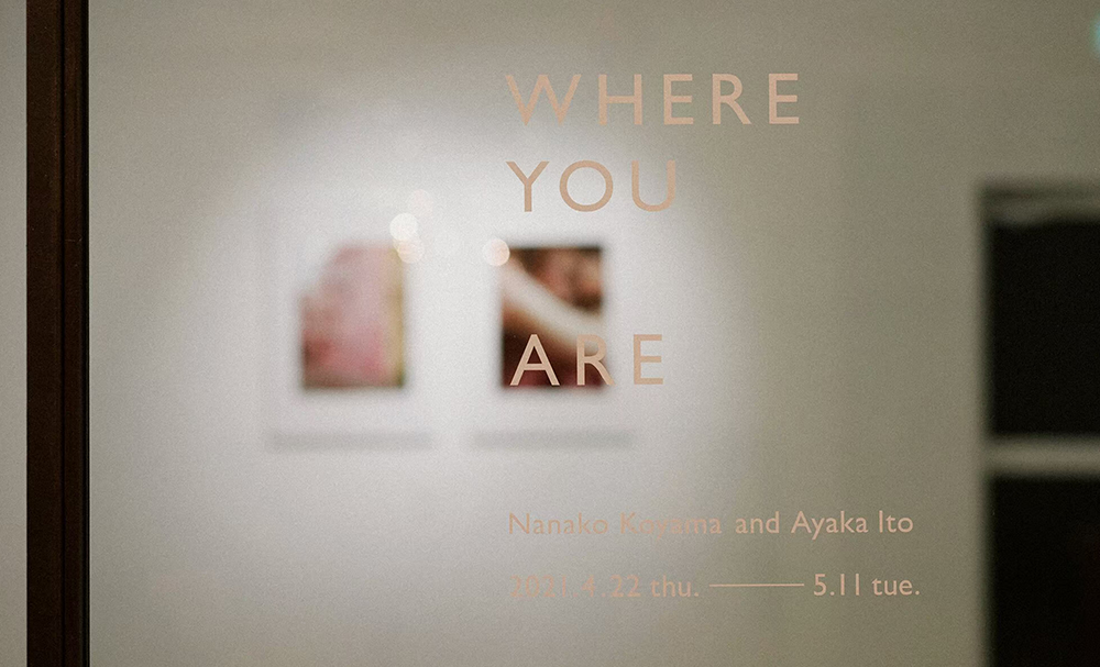 パソコン用の画像